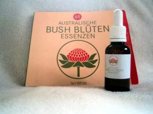 australische-buschblueten-essenzen-richterswil
